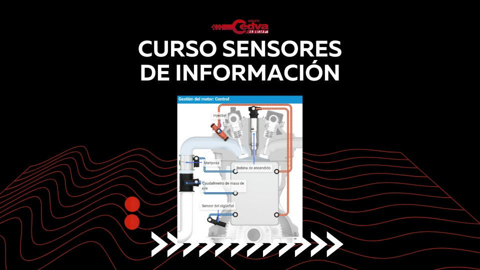 Sensores de Información